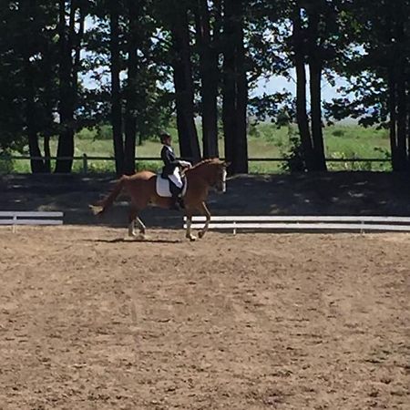 Sassi Talu Horsefarm Hotel Parnumaa Ngoại thất bức ảnh