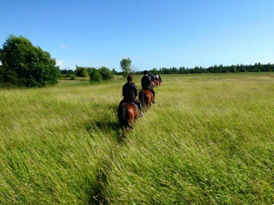 Sassi Talu Horsefarm Hotel Parnumaa Ngoại thất bức ảnh