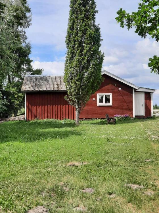 Sassi Talu Horsefarm Hotel Parnumaa Ngoại thất bức ảnh